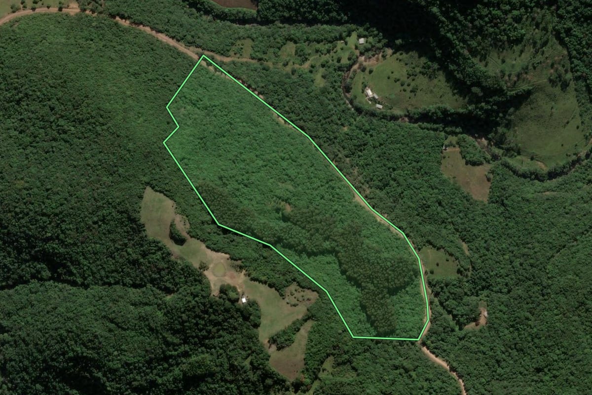 Imagem de satélite do imóvel rural em Ipê (RS), com o contorno declarado no CAR desenhado por cima.