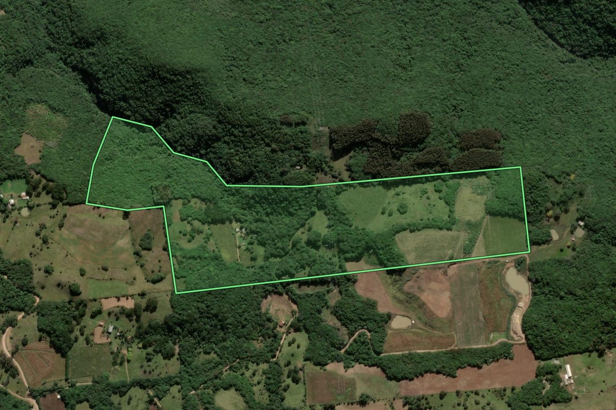 Imagem de satélite do imóvel rural em Ipê (RS), com o contorno declarado no CAR desenhado por cima.