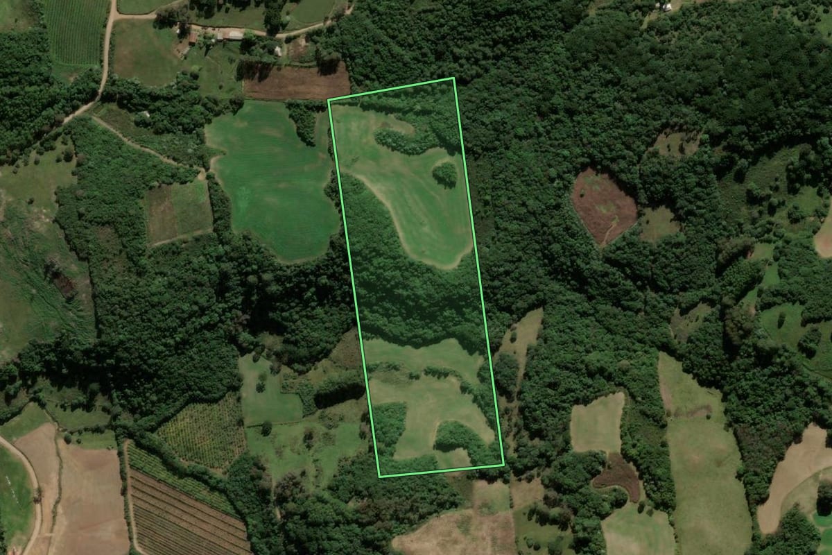 Imagem de satélite do imóvel rural em Ipê (RS), com o contorno declarado no CAR desenhado por cima.