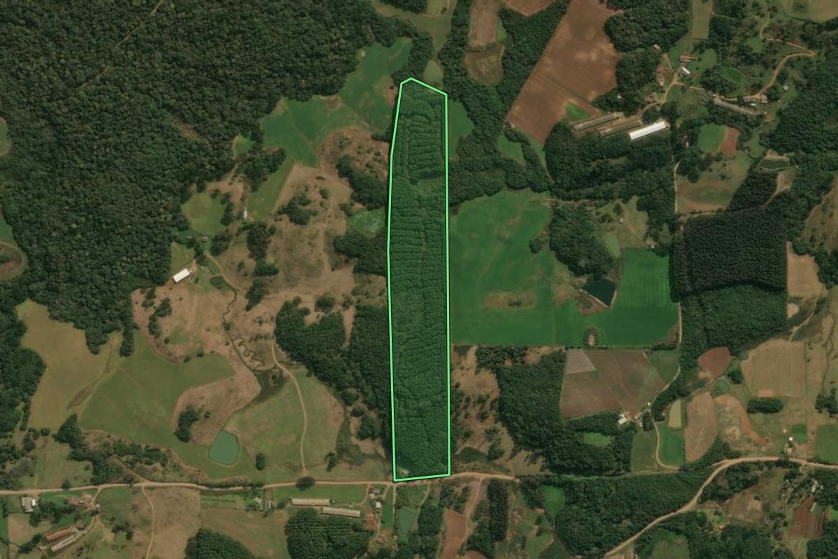 Imagem de satélite do imóvel rural em Ipê (RS), com o contorno declarado no CAR desenhado por cima.
