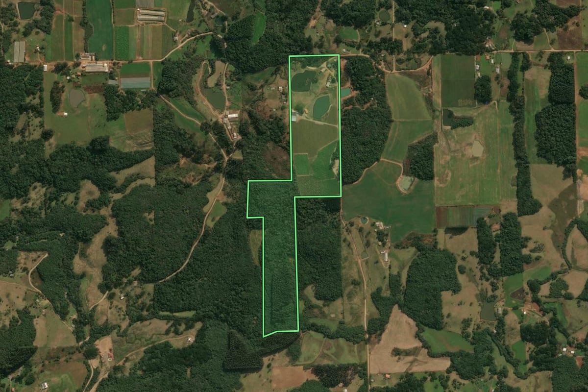 Imagem de satélite do imóvel rural em Ipê (RS), com o contorno declarado no CAR desenhado por cima.