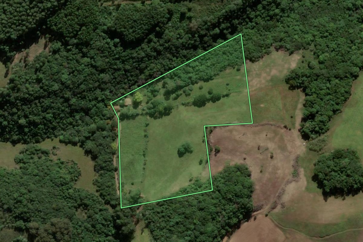 Imagem de satélite do imóvel rural em Ipê (RS), com o contorno declarado no CAR desenhado por cima.