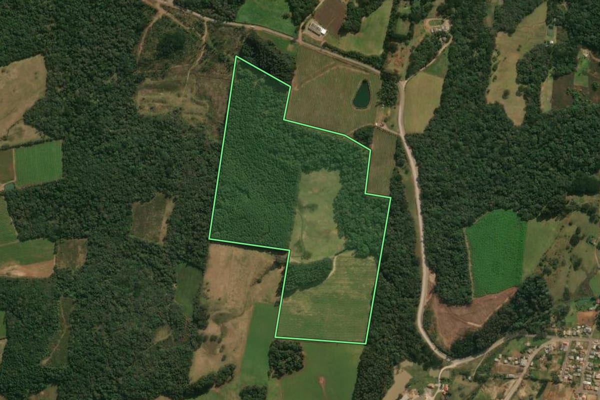 Imagem de satélite do imóvel rural em Ipê (RS), com o contorno declarado no CAR desenhado por cima.