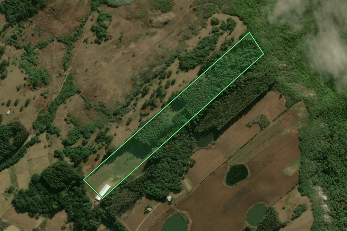 Imagem de satélite do imóvel rural em Ipê (RS), com o contorno declarado no CAR desenhado por cima.