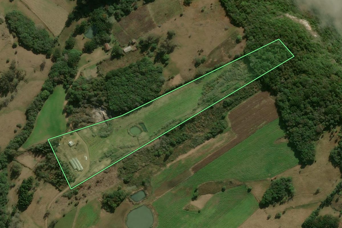 Imagem de satélite do imóvel rural em Ipê (RS), com o contorno declarado no CAR desenhado por cima.