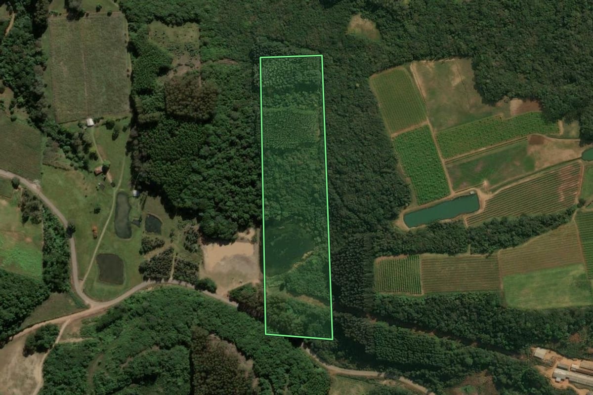 Imagem de satélite do imóvel rural em Ipê (RS), com o contorno declarado no CAR desenhado por cima.