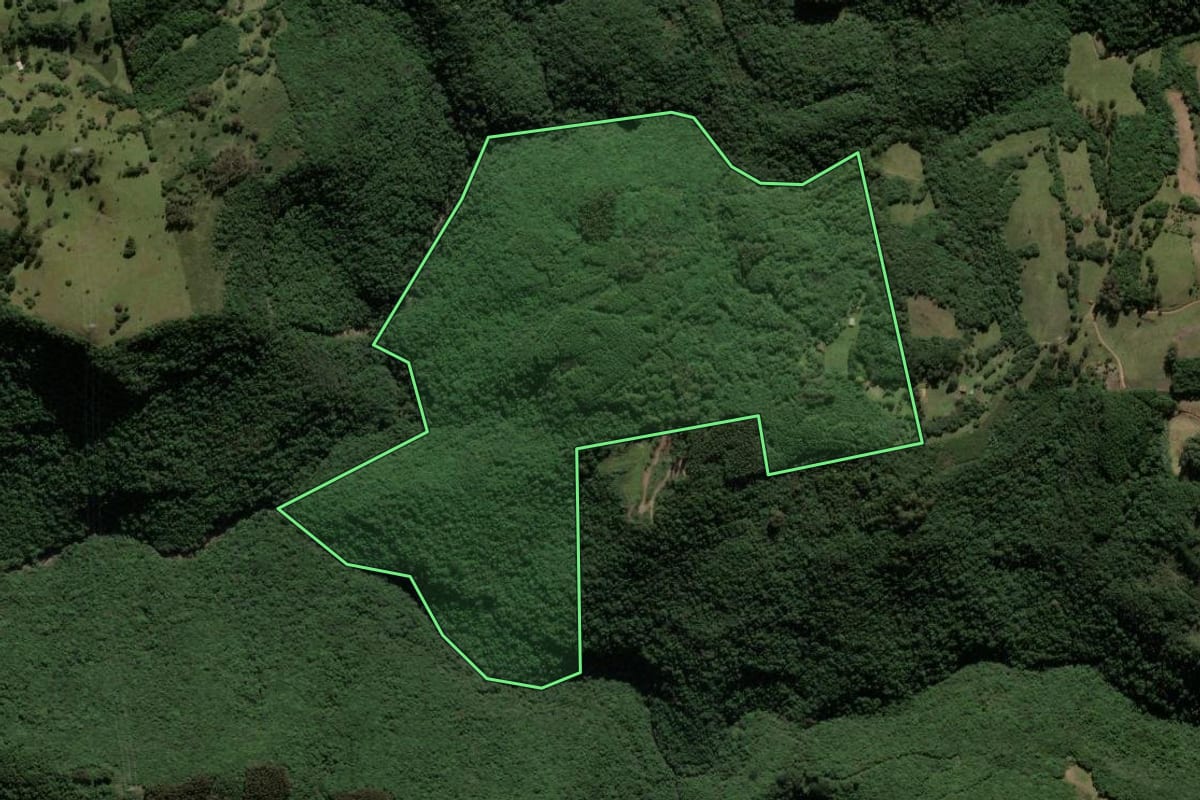 Imagem de satélite do imóvel rural em Ipê (RS), com o contorno declarado no CAR desenhado por cima.