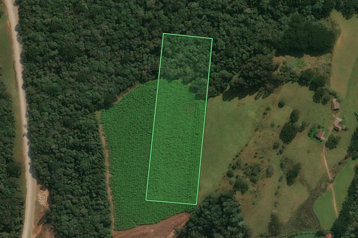 Imagem de satélite do imóvel rural em Ipê (RS), com o contorno declarado no CAR desenhado por cima.