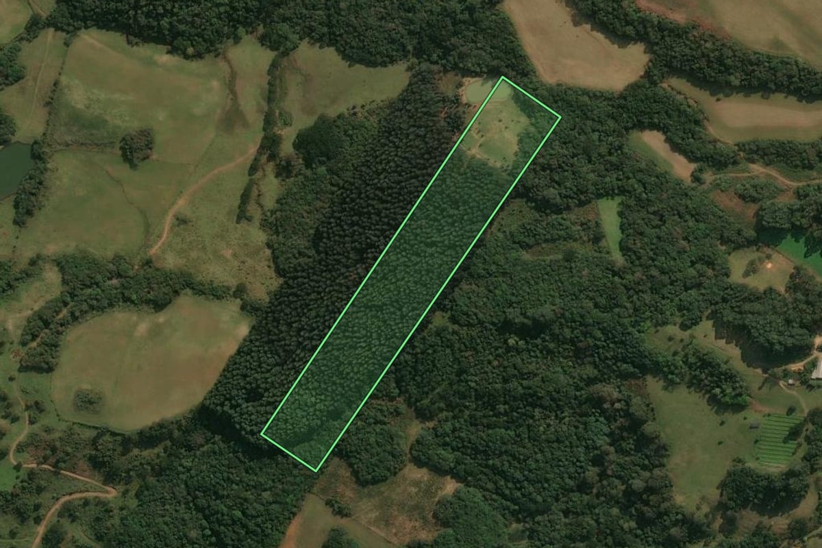 Imagem de satélite do imóvel rural em Ipê (RS), com o contorno declarado no CAR desenhado por cima.