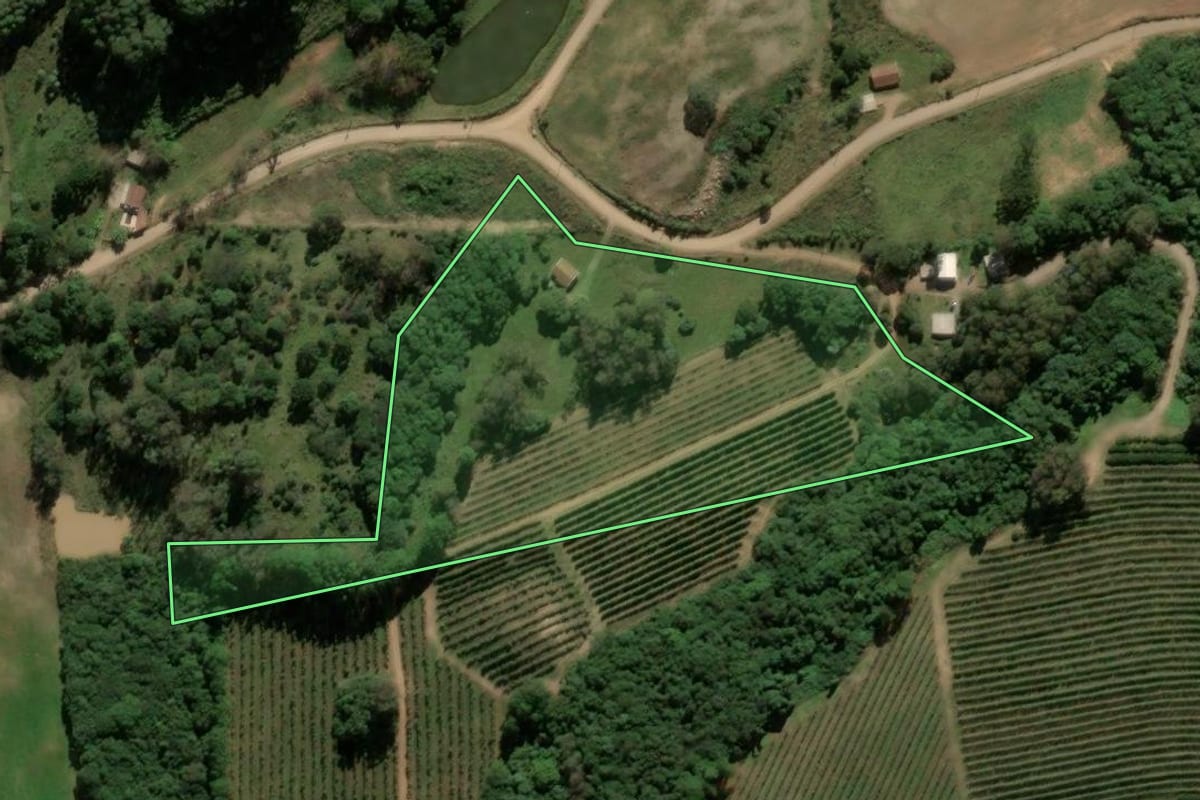 Imagem de satélite do imóvel rural em Ipê (RS), com o contorno declarado no CAR desenhado por cima.