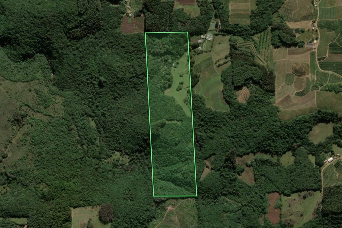Imagem de satélite do imóvel rural em Ipê (RS), com o contorno declarado no CAR desenhado por cima.