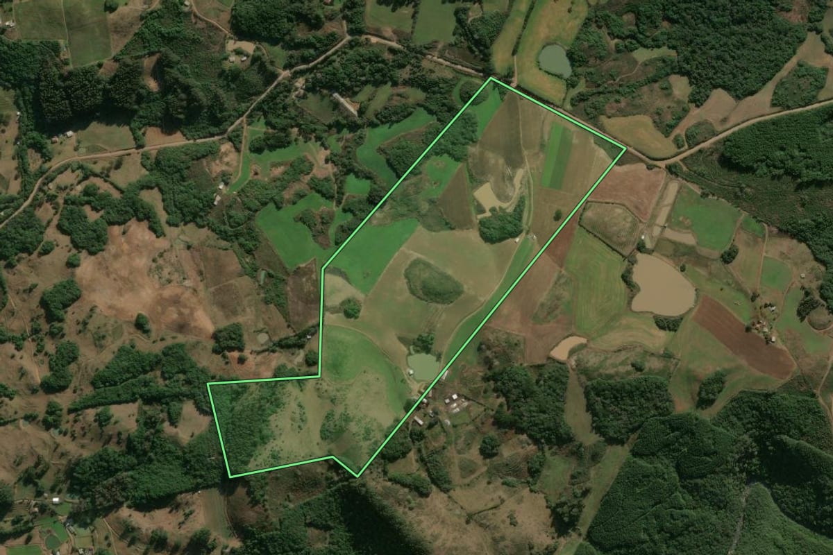 Imagem de satélite do imóvel rural em Ipê (RS), com o contorno declarado no CAR desenhado por cima.