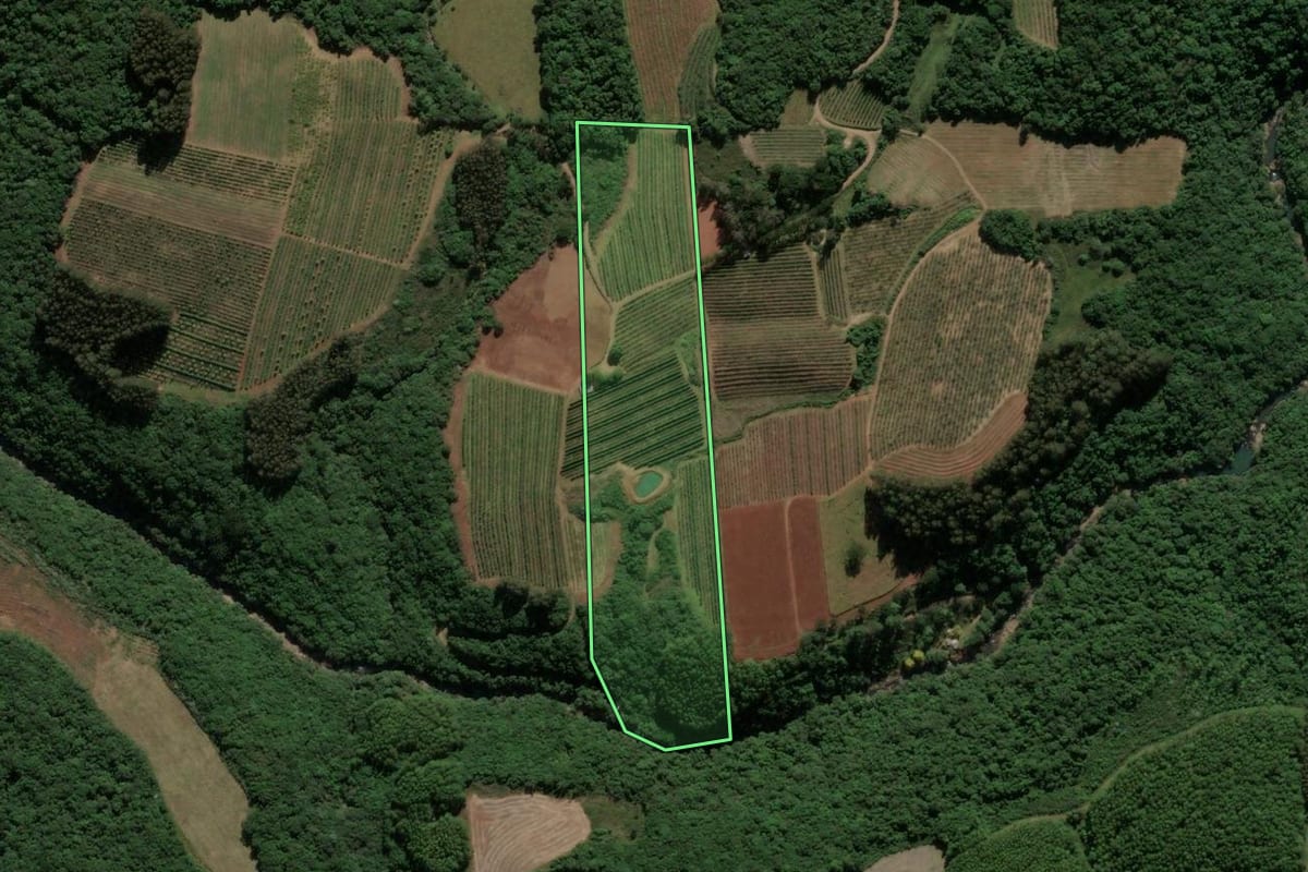 Imagem de satélite do imóvel rural em Ipê (RS), com o contorno declarado no CAR desenhado por cima.