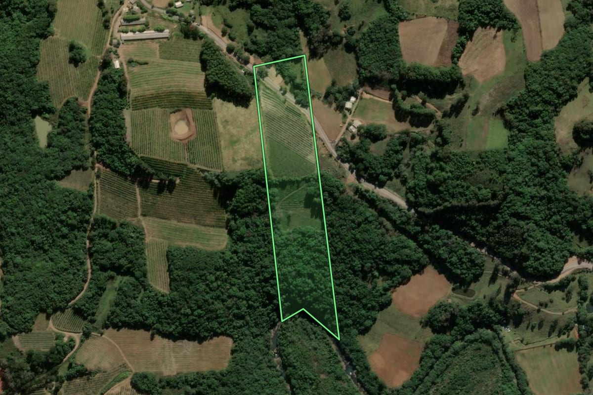Imagem de satélite do imóvel rural em Ipê (RS), com o contorno declarado no CAR desenhado por cima.