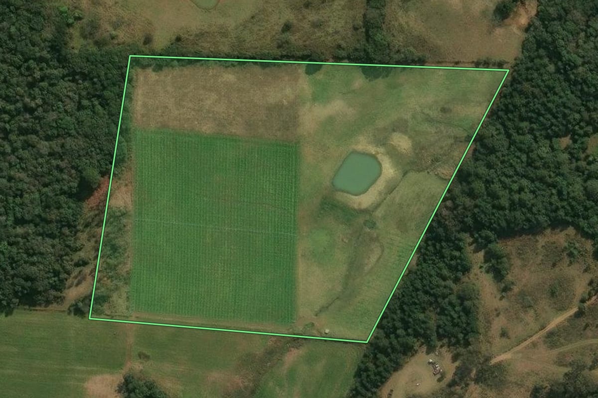 Imagem de satélite do imóvel rural em Ipê (RS), com o contorno declarado no CAR desenhado por cima.
