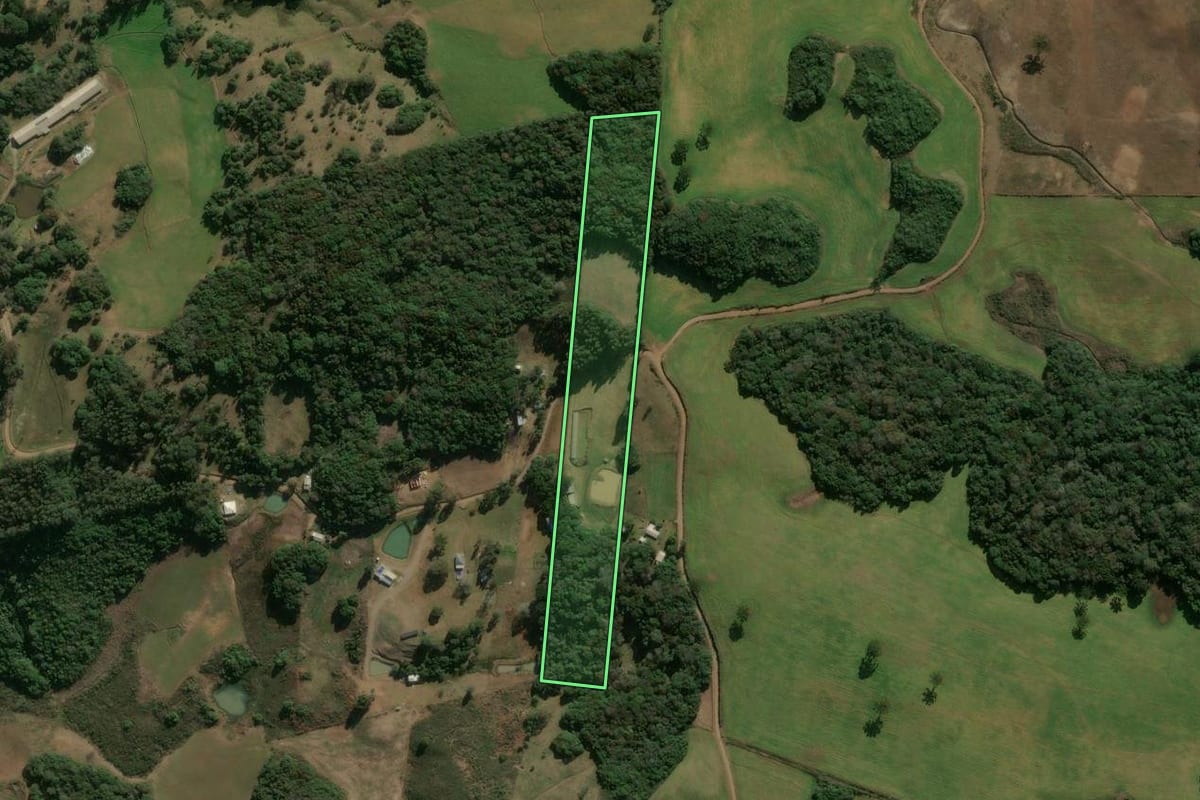 Imagem de satélite do imóvel rural em Ipê (RS), com o contorno declarado no CAR desenhado por cima.