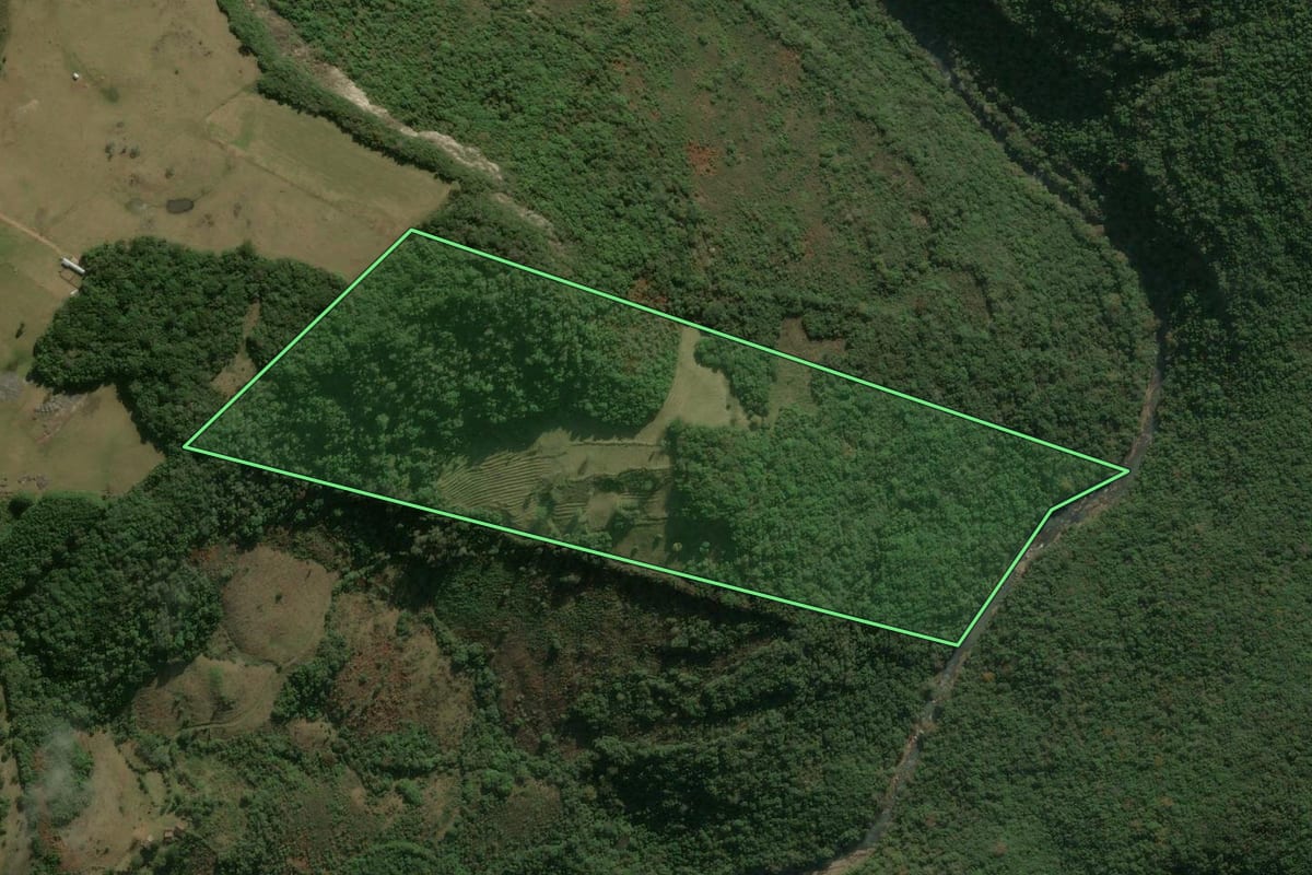 Imagem de satélite do imóvel rural em Ipê (RS), com o contorno declarado no CAR desenhado por cima.