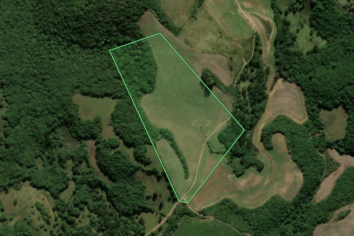 Imagem de satélite do imóvel rural em Ipê (RS), com o contorno declarado no CAR desenhado por cima.