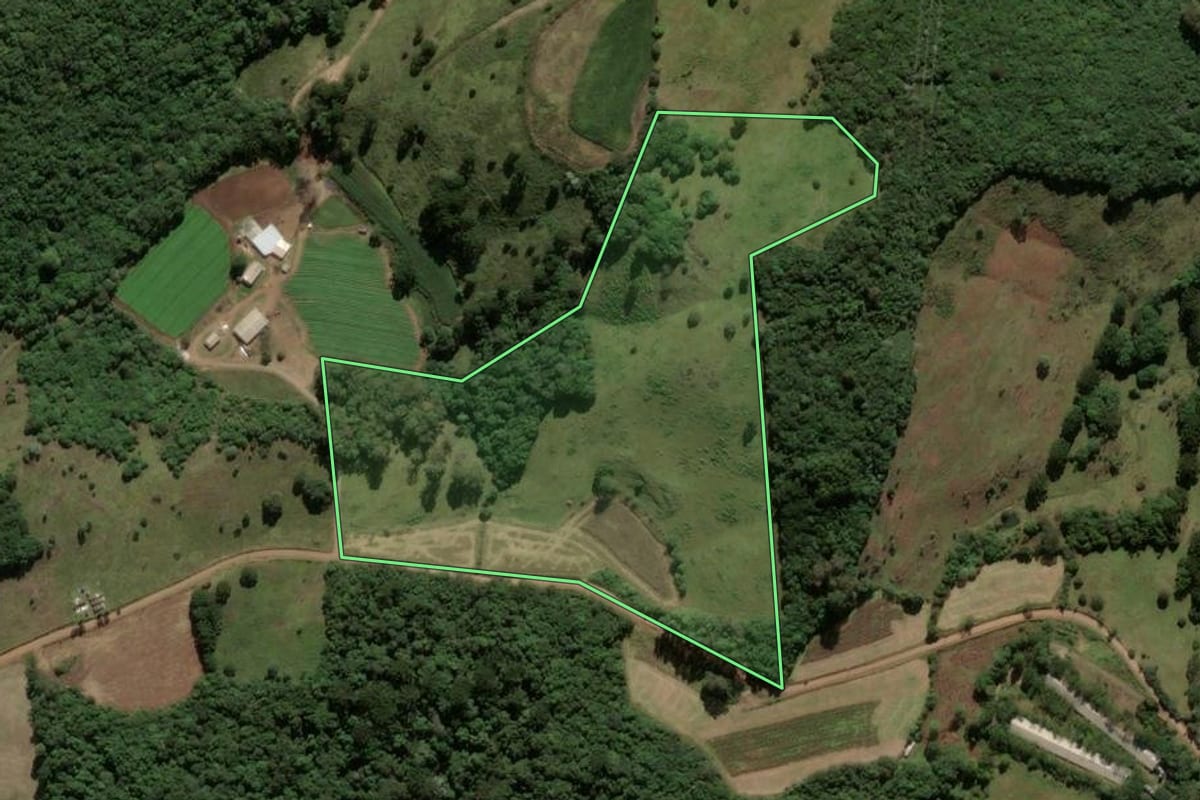Imagem de satélite do imóvel rural em Ipê (RS), com o contorno declarado no CAR desenhado por cima.