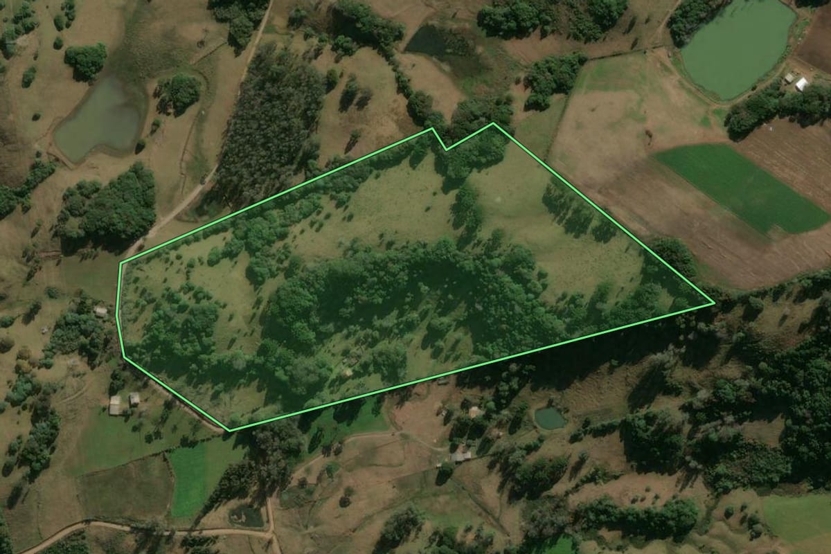Imagem de satélite do imóvel rural em Ipê (RS), com o contorno declarado no CAR desenhado por cima.