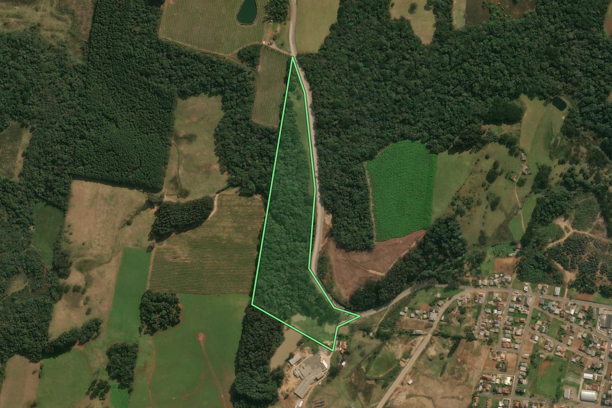 Imagem de satélite do imóvel rural em Ipê (RS), com o contorno declarado no CAR desenhado por cima.