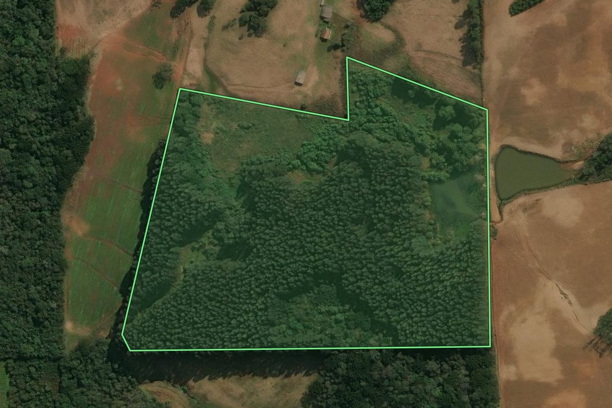 Imagem de satélite do imóvel rural em Ipê (RS), com o contorno declarado no CAR desenhado por cima.