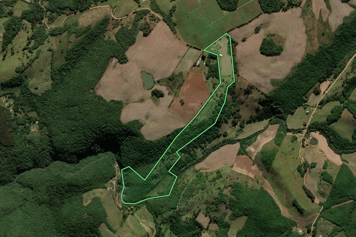 Imagem de satélite do imóvel rural em Ipê (RS), com o contorno declarado no CAR desenhado por cima.