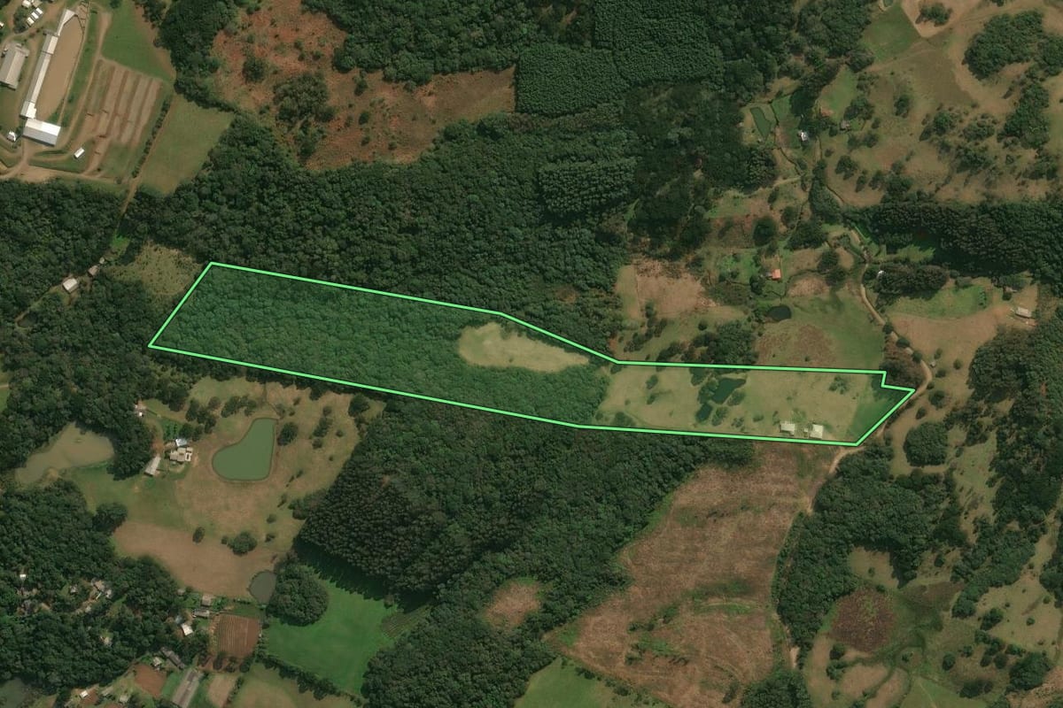 Imagem de satélite do imóvel rural em Ipê (RS), com o contorno declarado no CAR desenhado por cima.