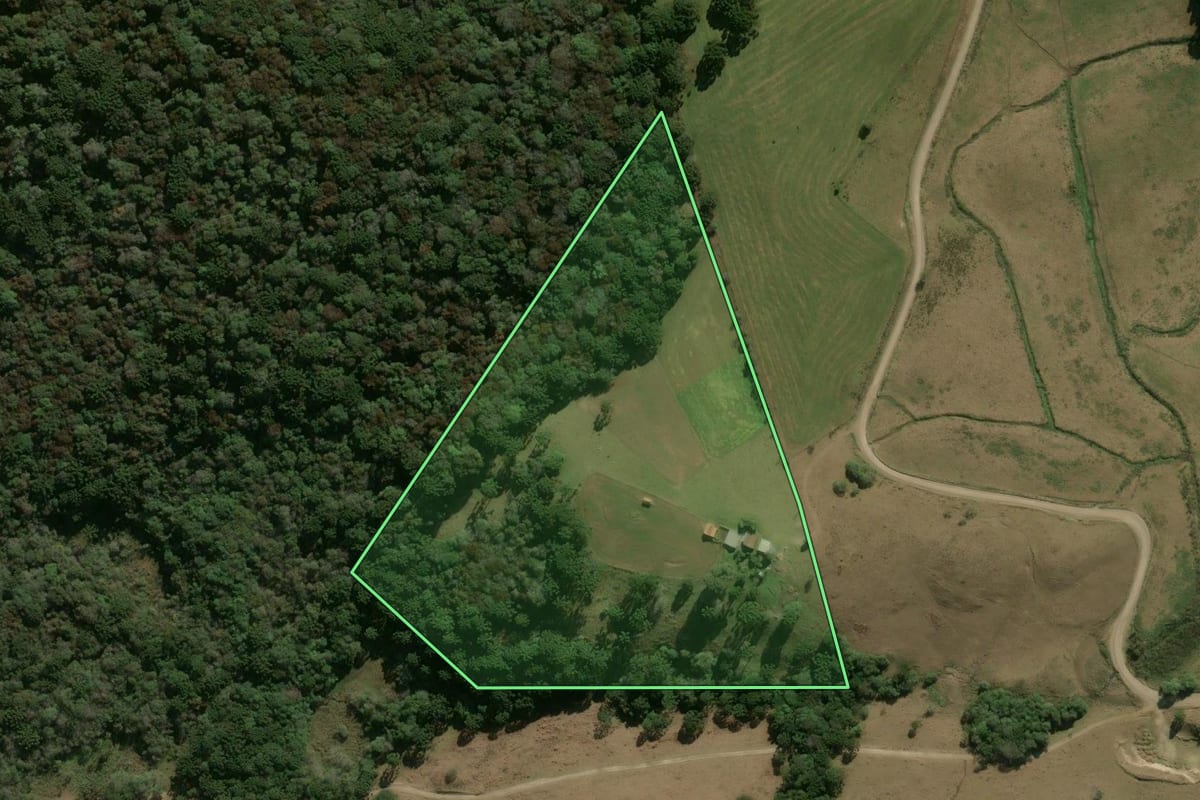 Imagem de satélite do imóvel rural em Ipê (RS), com o contorno declarado no CAR desenhado por cima.