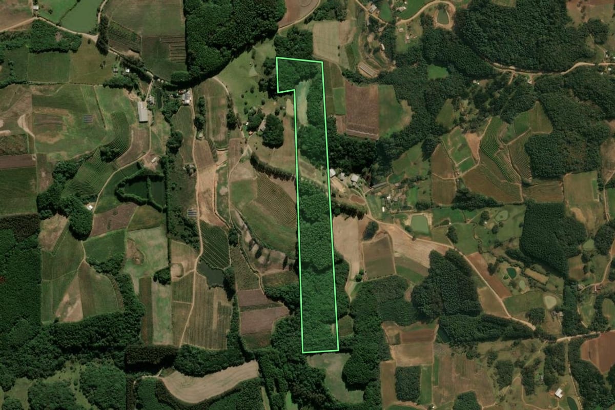 Imagem de satélite do imóvel rural em Ipê (RS), com o contorno declarado no CAR desenhado por cima.