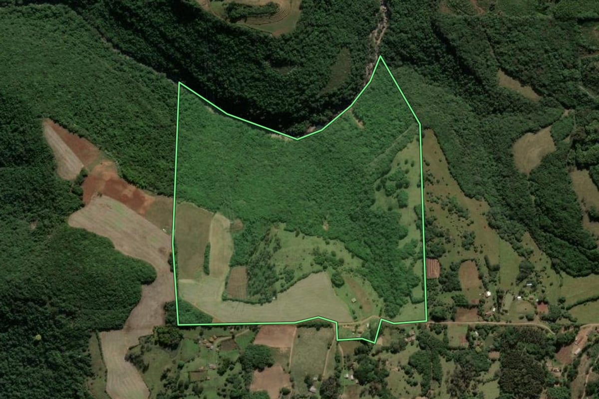 Imagem de satélite do imóvel rural em Ipê (RS), com o contorno declarado no CAR desenhado por cima.