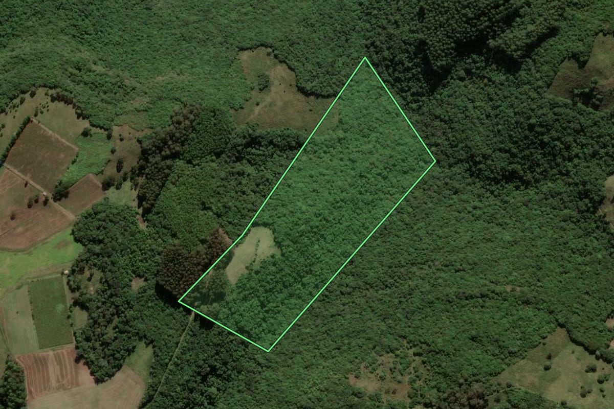 Imagem de satélite do imóvel rural em Ipê (RS), com o contorno declarado no CAR desenhado por cima.