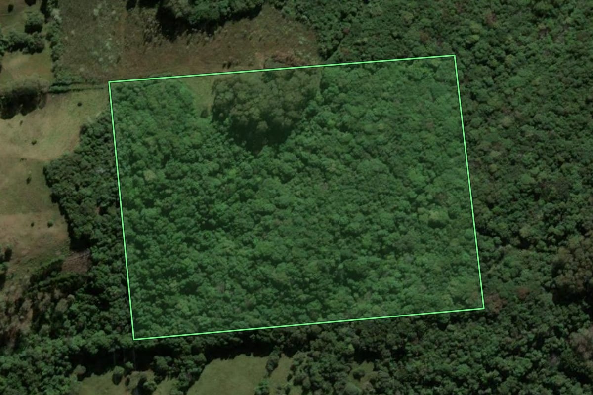 Imagem de satélite do imóvel rural em Ipê (RS), com o contorno declarado no CAR desenhado por cima.