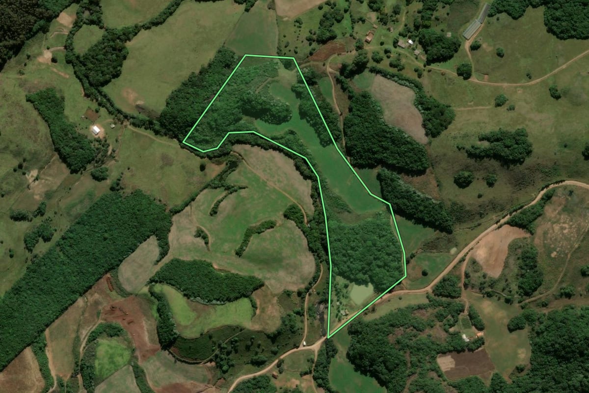 Imagem de satélite do imóvel rural em Ipê (RS), com o contorno declarado no CAR desenhado por cima.