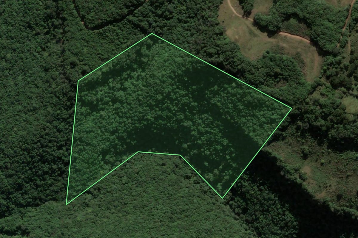 Imagem de satélite do imóvel rural em Ipê (RS), com o contorno declarado no CAR desenhado por cima.