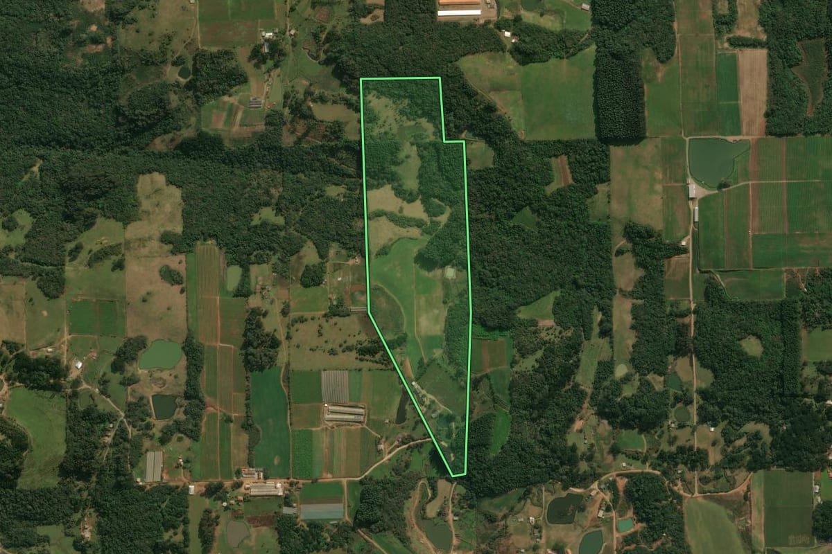 Imagem de satélite do imóvel rural em Ipê (RS), com o contorno declarado no CAR desenhado por cima.