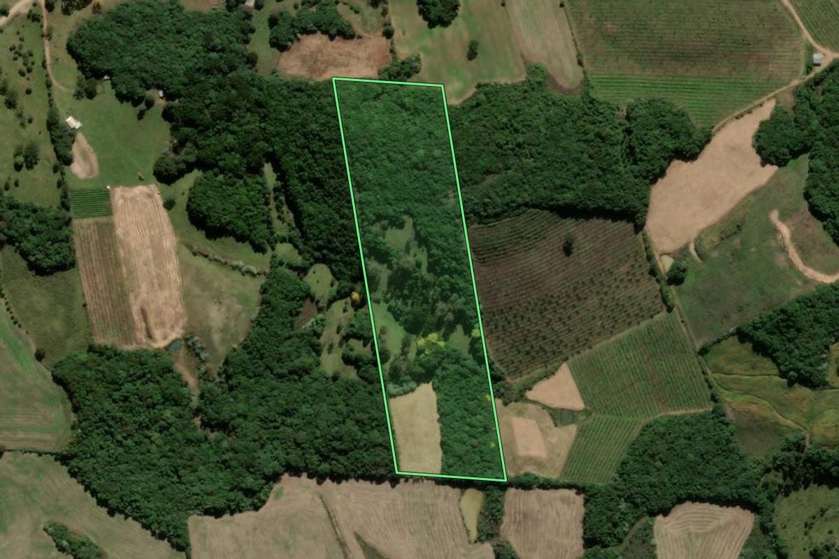 Imagem de satélite do imóvel rural em Ipê (RS), com o contorno declarado no CAR desenhado por cima.