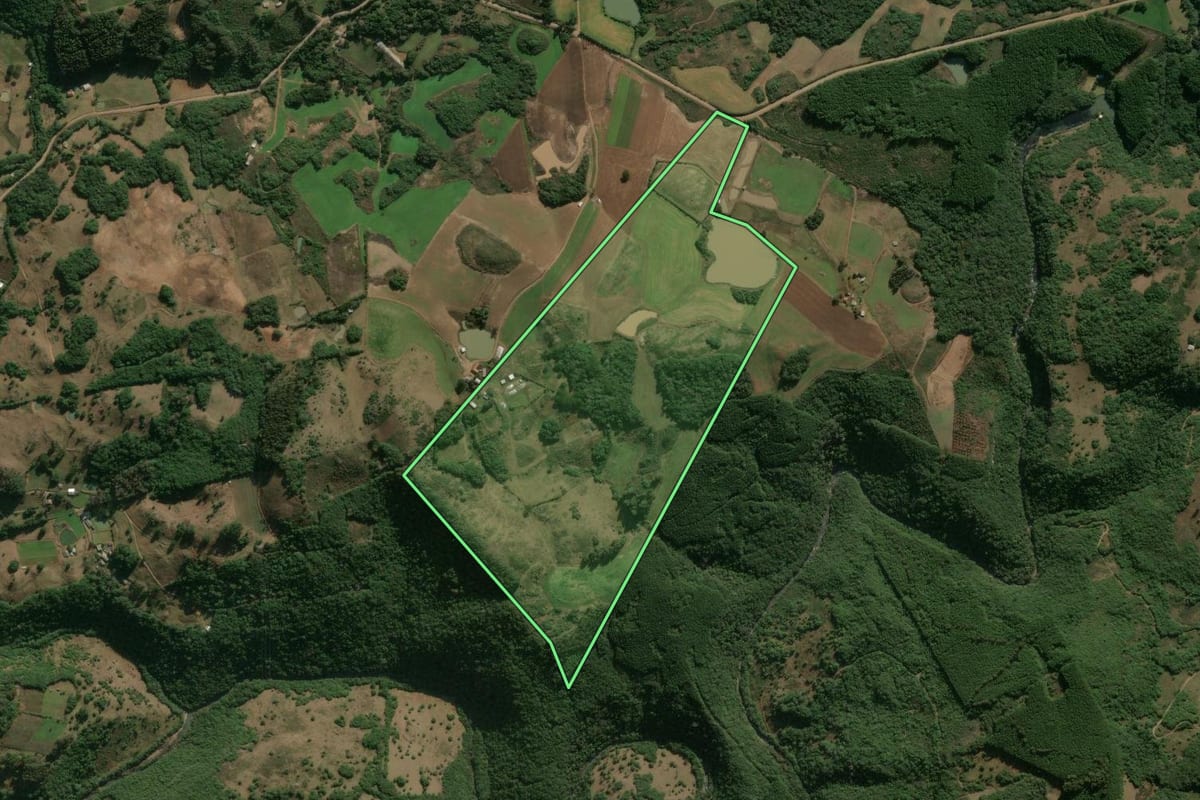 Imagem de satélite do imóvel rural em Ipê (RS), com o contorno declarado no CAR desenhado por cima.