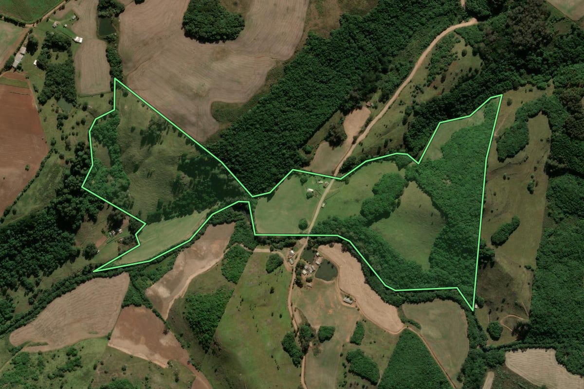 Imagem de satélite do imóvel rural em Ipê (RS), com o contorno declarado no CAR desenhado por cima.