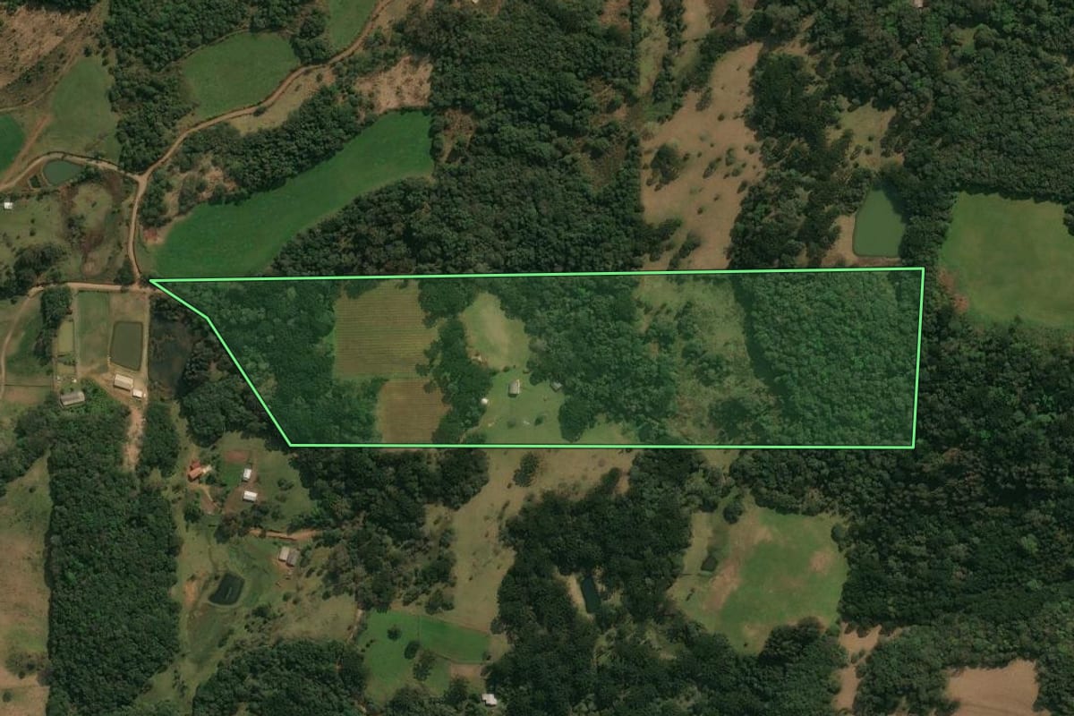 Imagem de satélite do imóvel rural em Ipê (RS), com o contorno declarado no CAR desenhado por cima.