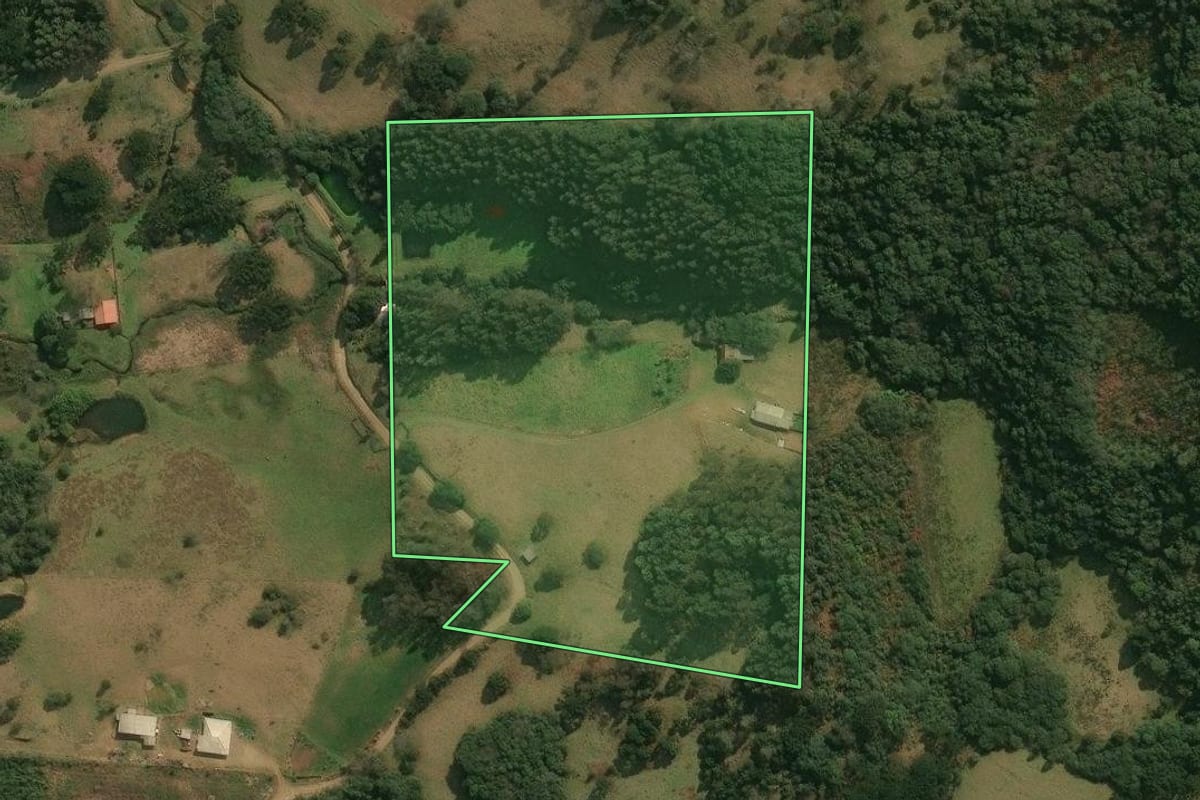 Imagem de satélite do imóvel rural em Ipê (RS), com o contorno declarado no CAR desenhado por cima.