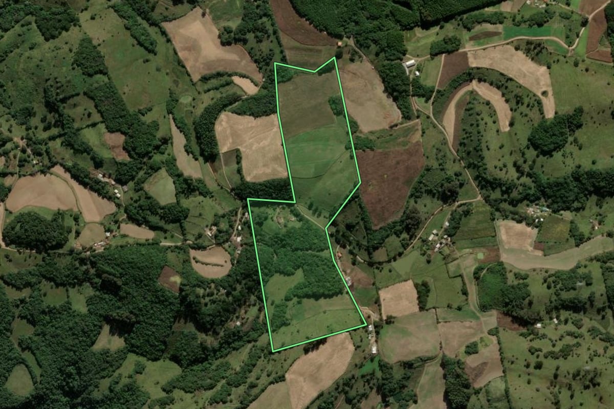 Imagem de satélite do imóvel rural em Ipê (RS), com o contorno declarado no CAR desenhado por cima.