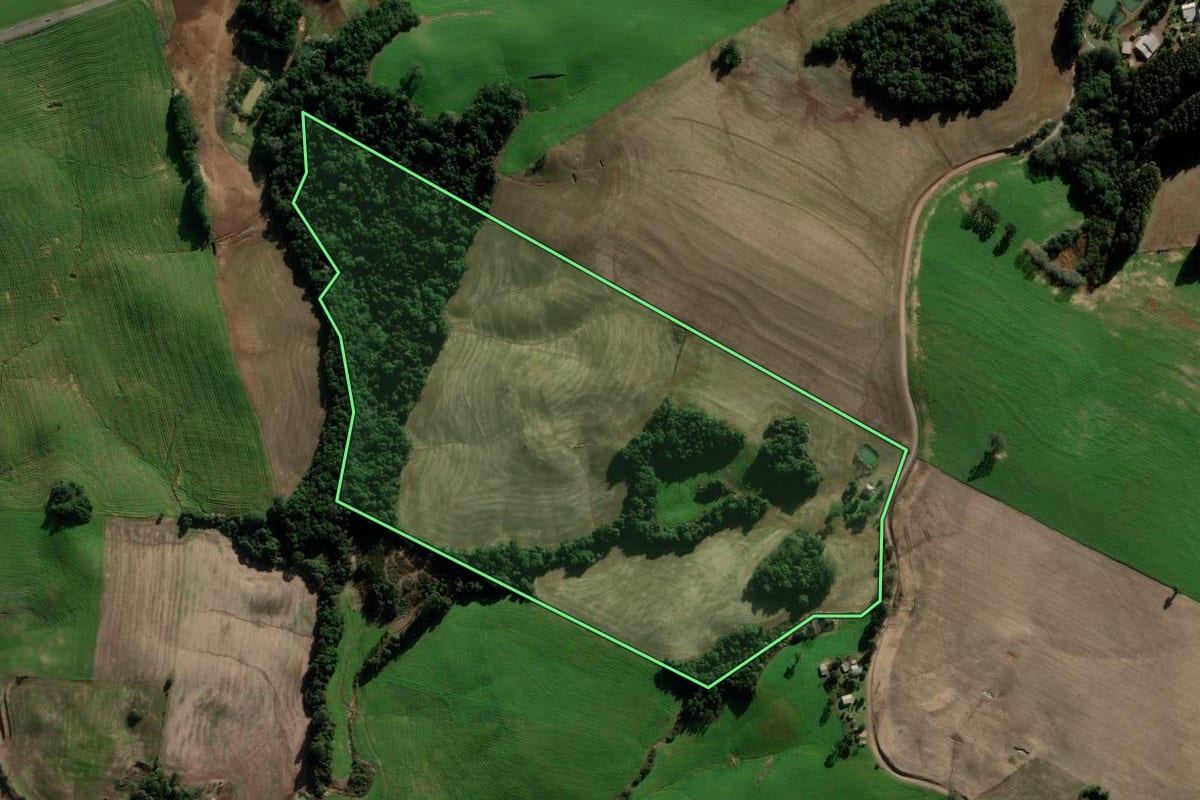 Imagem de satélite do imóvel rural em Ipiranga do Sul (RS), com o contorno declarado no CAR desenhado por cima.