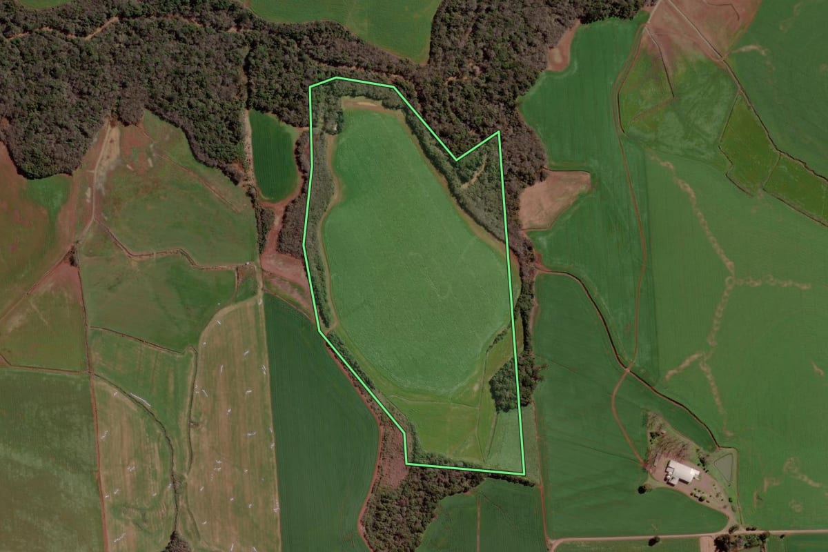 Imagem de satélite do imóvel rural em Ipiranga do Sul (RS), com o contorno declarado no CAR desenhado por cima.