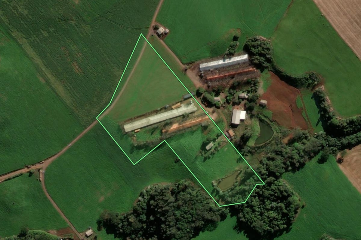 Imagem de satélite do imóvel rural em Ipiranga do Sul (RS), com o contorno declarado no CAR desenhado por cima.