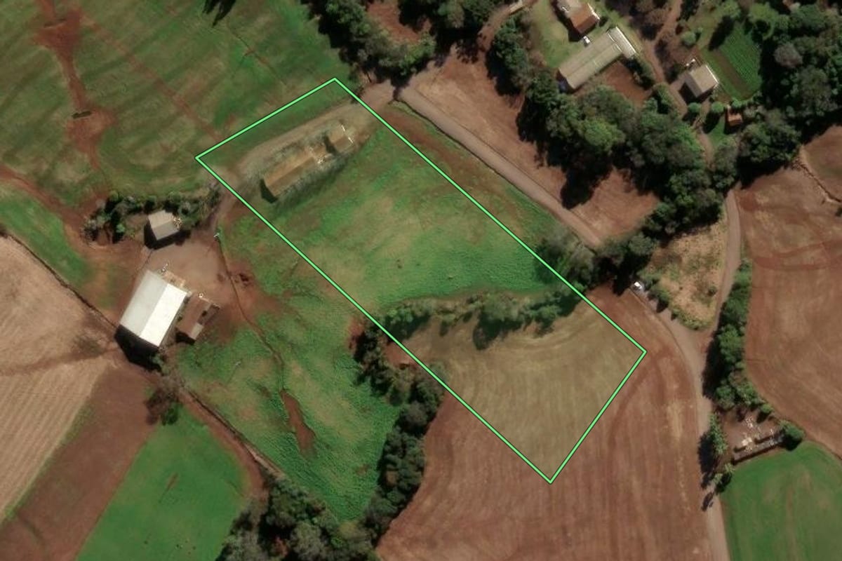 Imagem de satélite do imóvel rural em Ipiranga do Sul (RS), com o contorno declarado no CAR desenhado por cima.