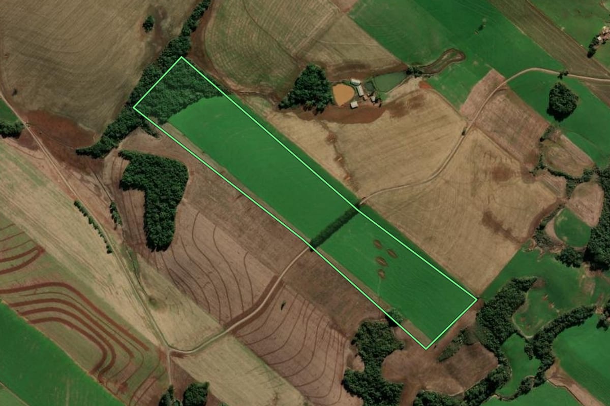 Imagem de satélite do imóvel rural em Ipiranga do Sul (RS), com o contorno declarado no CAR desenhado por cima.