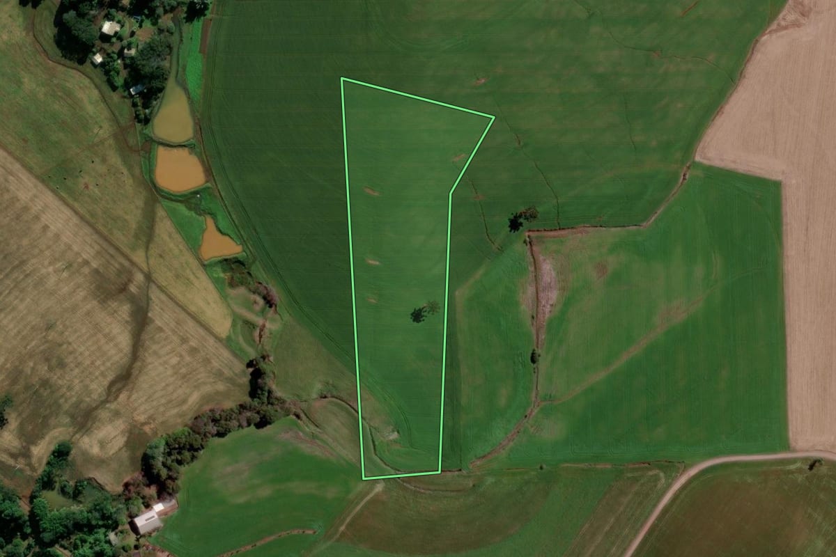 Imagem de satélite do imóvel rural em Ipiranga do Sul (RS), com o contorno declarado no CAR desenhado por cima.