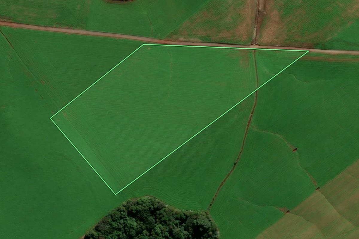 Imagem de satélite do imóvel rural em Ipiranga do Sul (RS), com o contorno declarado no CAR desenhado por cima.