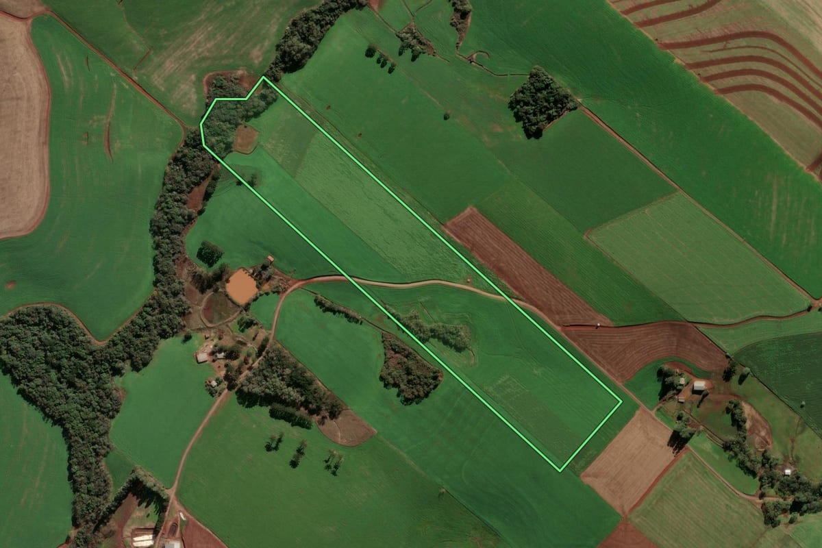Imagem de satélite do imóvel rural em Ipiranga do Sul (RS), com o contorno declarado no CAR desenhado por cima.